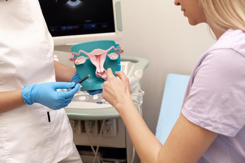Bir doktor, menopoz yönetimi hakkında bilgi verirken